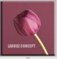 /album/photo-gallery-canvas-uri/decoratiuni-de-perete-canvas-lc-0473-jpg/